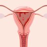 What are periods