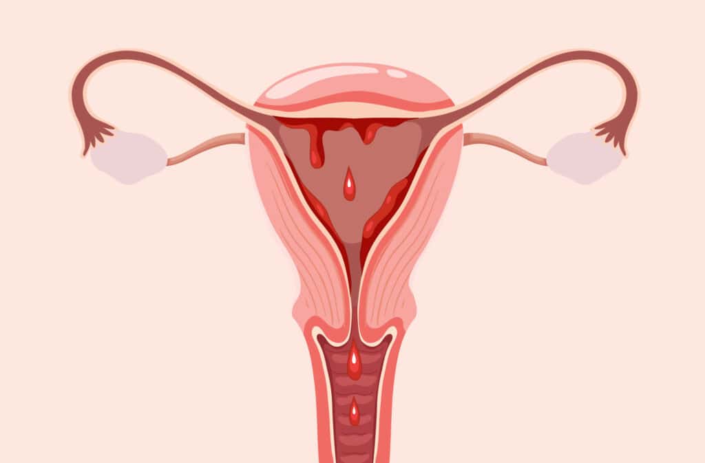 What are periods